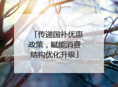 传递国补优惠政策，赋能消费结构优化升级